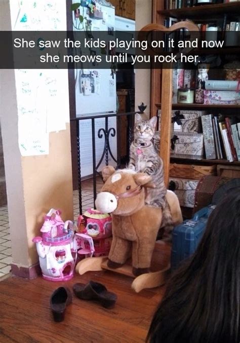 Lift your spirits with funny jokes, trending memes, entertaining gifs, inspiring stories, viral videos, and so much. Happy Caturday: 28 Funny Cat GIFs and Memes in 2020 ...