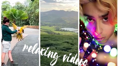 Maybe you would like to learn more about one of these? RELAXING VIDEOS ♥♥ tiktok compilation - YouTube