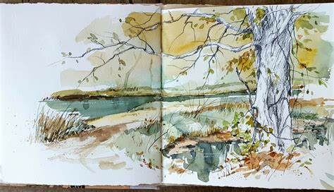 I was at the height of my career as a writer, artist and naturalist, desperate for a place to work that was both conducive and inspiring. cathy johnson | Nature sketch, Watercolour inspiration ...