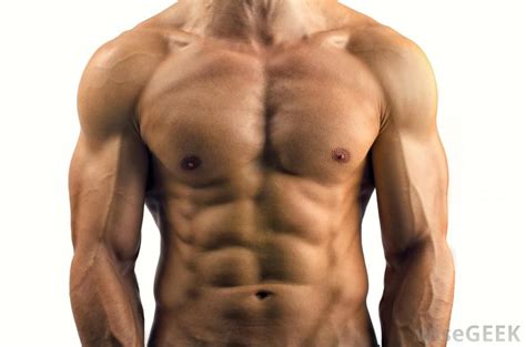Browse our male torso muscles images, graphics, and designs from +79.322 free vectors graphics. http://images.wisegeek.com/male-muscular-torso.jpg ...
