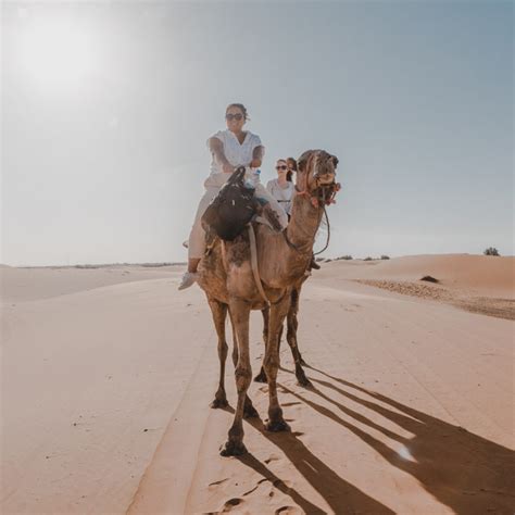 Camel trekking in desert and 1 night in desert camp merzouga. How to Get Around Morocco: A Transportation Guide - There ...