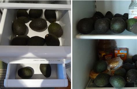 Jul 12, 2019 · how to ripen avocados quickly. The Secret For Perfectly Ripened Avocados - Mimi Avocado