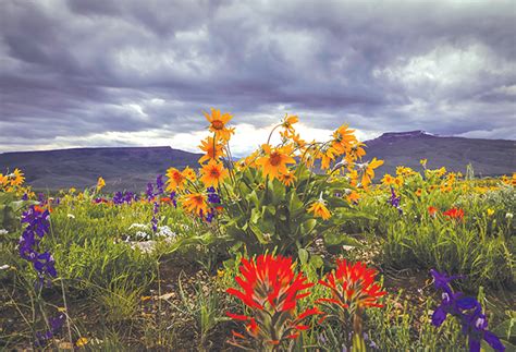 Crested butte is a prominent mountain summit in the elk mountains range of the rocky mountains of north america. What ifs… - The Crested Butte News