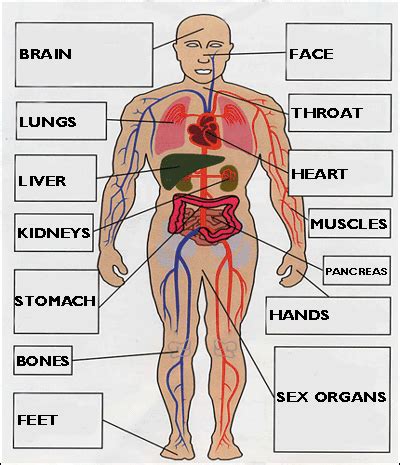 They may help a patient who feels a war is going on inside their body. BBC - Beds, Herts and Bucks Read This - Think Drink Tips ...