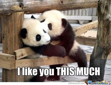 4) your cute smile makes me melt. 20 I Like You Memes That Will Make Her Blush | Panda ...