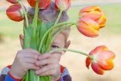 Dahlien pflanzen sie am besten ende april oder anfang mai, wenn die frostigen tage ganz sicher vorbei sind. Wann ist die beste Zeit, um Tulpen zu pflanzen ...