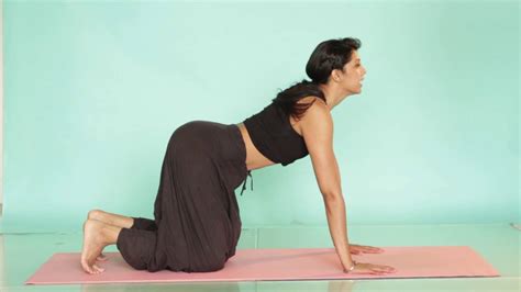 I practiced with your prenatal yoga dvd during my pregnancy. The Cat and Cow Pose | Anshuka Yoga - YouTube
