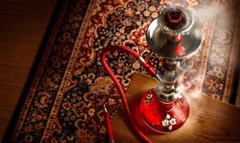 🔊 folgt uns auf instagram: Shisha rauchen- Mythen und Wahrheiten - Trends - ZENIDEEN