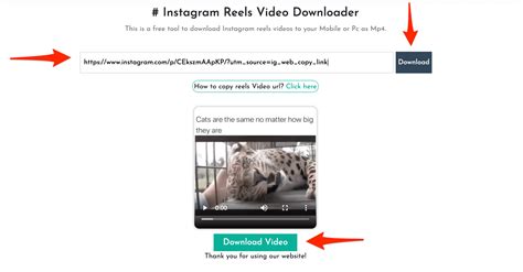 Instagram reels downloader by istaunch is one of the best online tools for convert videos from instagram reels to mp4 or mp3 files and download them for free on your devices like pc, computer. How to Download Instagram Reels Video: The Definitive Guide