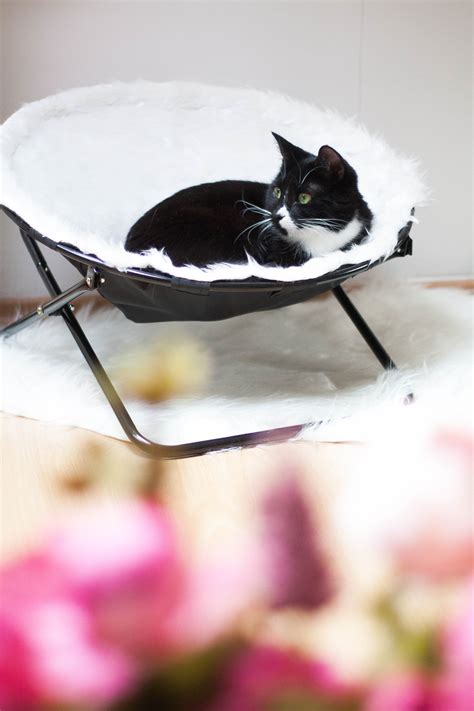 Most beds are reversible for double the usage. Cityscape Bliss - Pippi's new chair & 5 cat beds your cat ...