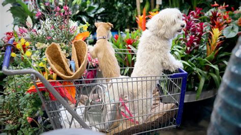Giant food stores stores & openning hours in jessup. Pet-food boom drives crop giant ADM's push in $91 billion ...