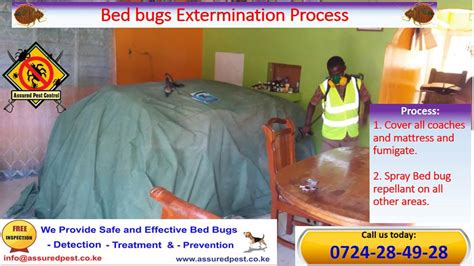 The answers to these questions can be found in this post. BedBugs Treatment - Assured Pest Control