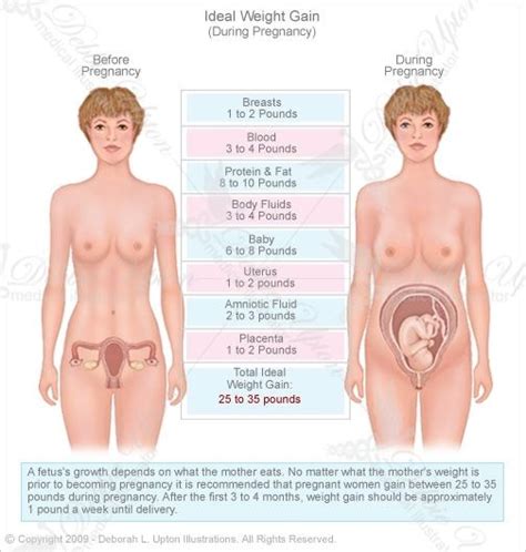 This is typically detected in an ultrasound during the second trimester and is closely monitored for the duration of pregnancy. Ideal weight gain during pregnancy. Patient should gain 2 ...