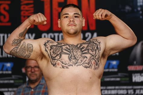 Mexican heavyweight champion of the world. Andy Ruiz Jr Net Worth: How Rich is the Boxer Actually?