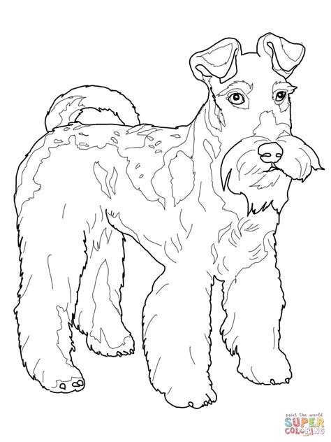 Our free coloring pages for adults and kids, range from star wars to mickey mouse. Boston Terrier Coloring Pages Printable - Coloring Home