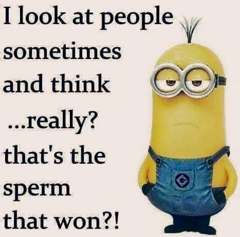 General tech related jokes/memes (such as running as administrator, sudo, usb or bios related posts and os memes/jokes). Pin on All Types Of Funny Pictures, Funny Memes & Funny Jokes