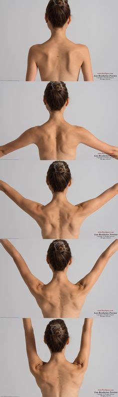 Back muscles reference | male. 400+ Best gesture/posing figures images in 2020 | human ...