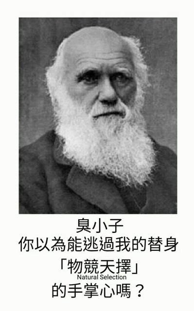The site owner hides the web page description. 你以為逃得出我替身物競天擇的手掌心嘛 (達爾文 - Meme 梗圖倉庫