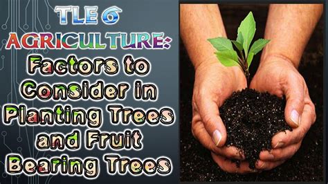 Maybe you would like to learn more about one of these? TLE 6 Ag - Factors to Consider in Planting Trees and Fruit ...