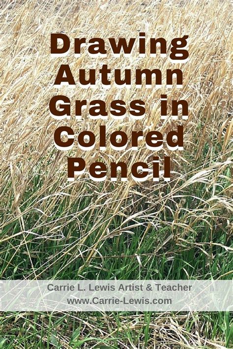 Then start layering your color on the paper, ideally working from a photograph to have an idea of where your lights and darks will go. How to Draw Autumn Grass in Colored Pencil | Colored ...