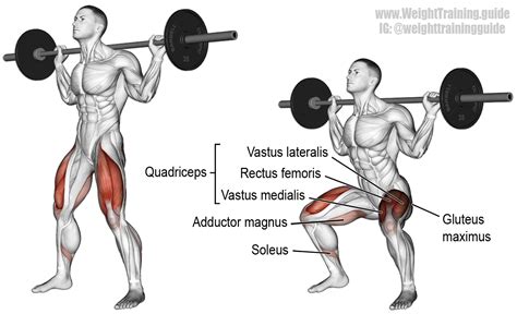 How to do high barbell back squat properly? Back Squat - Cairo West Magazine