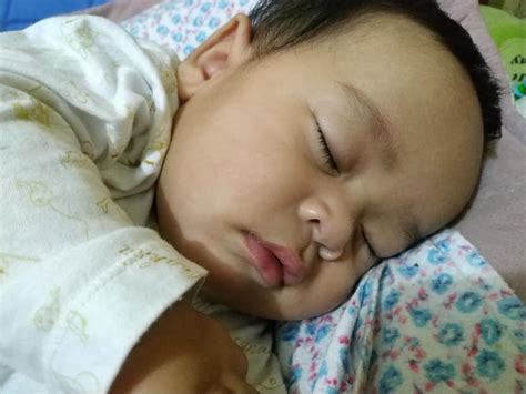 Salah satu yang menjadi alasan mengapa dahak sulit untuk dikeluarkan. Ikhtiar Keluarkan Kahak Bayi Menggunakan Daun Sireh Dan ...