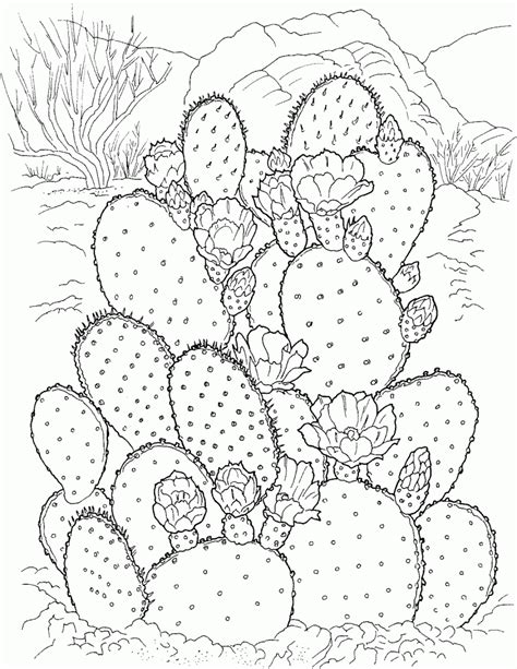 Watercolor leaves watercolor cactus watercolor flower pot watercolor cat. Free Printable Cactus Coloring Pages For Kids | Flower ...