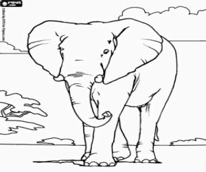 Section of page if appropriate. Big elephant in the savanna coloring page printable game