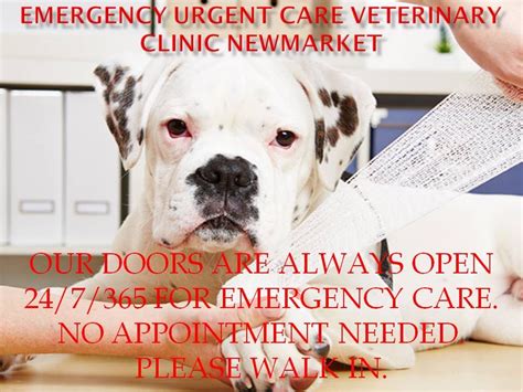 A pet emergency can be very scary. #Veterinary emergency clinic of #Ontario is the best place ...