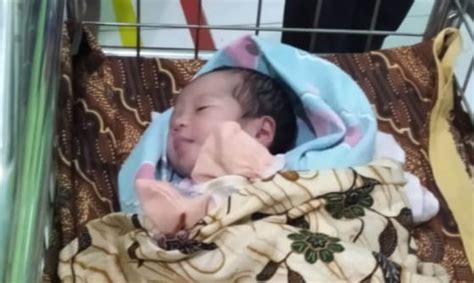 Menjual pakaian merk brand ternama ayyabina, sukahijab, amily, amima, shieraki, dll. Diduga Dibuang Ibunya, Bayi Perempuan Cantik Ditemukan Warga Di Samping Gorong-Gorong - Berita ...