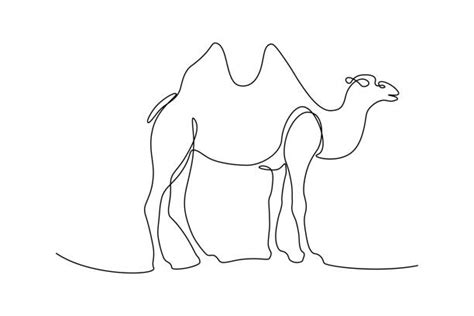 Make sure your animal is humpbacked and has four legs in total. Camel With One Hump Illustrations, Royalty-Free Vector ...