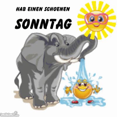 Zum thema sunday findet ihr viele lustige videos, die den empfänger bestimmt schmunzeln lassen. Hab Einen Schönen Sonntag GIF - Summer Elephant - Discover ...