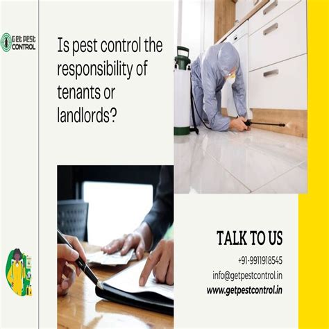 The landlord and tenant board (ltb) resolves: Is pest control the responsibility of tenants or landlords ...