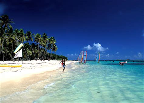 Palm trees lean over the ribbon of beach that shelves ever so gently into a classic turquoise sea. Martinique - Wide Range of Caribbean Beaches