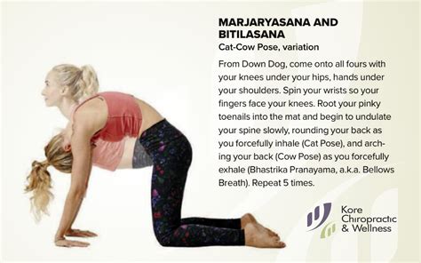 How to intensify cat/cow and use it to transition to downward dog with antranik. MARJARYASANA AND BITILASANA 💪 Cat-Cow Pose, variation ...