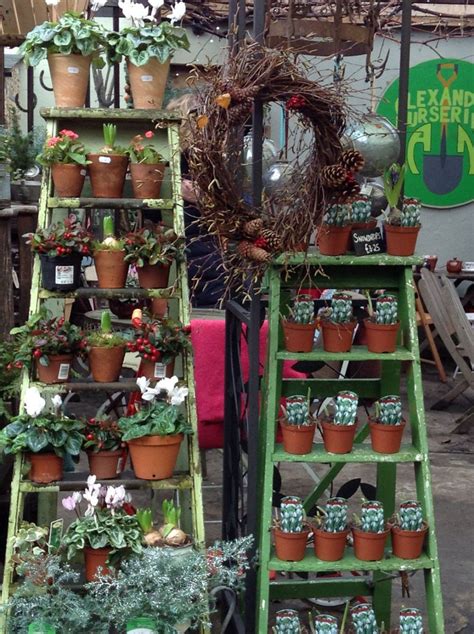 Old west cactus farmold west cactus farmold west cactus farm. Alexandra Nurseries in Penge - garden centre with vintage ...