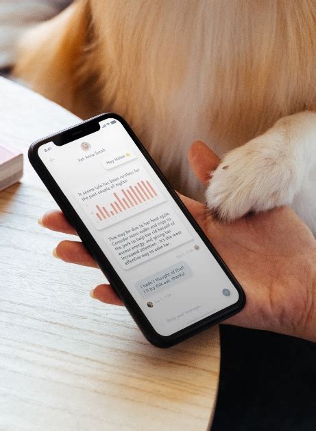 From microchipping to surgery, flea control and more, dr. Innovative, affordable vet care for your pet | Findster Care