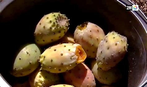 فاكهة القشطة أو الجرافيولا (graviola) هي واحدة من أهم أنواع الفواكه التي لها العديد من الفوائد الصحية الهامة، والقيم الغذائية التي لا تُعد، وهي فاكهة اسـتوائية غير أنها ذات طعم مُحبب. الهندية…فاكهة االفقراء