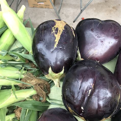 In standard italian the word for eggplant is melanzana, a word also used disparagingly to denote a black person. Italian Eggplant Information, Recipes and Facts