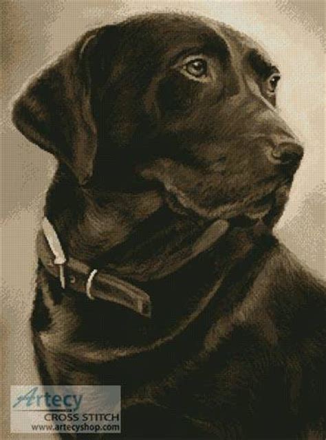 Amy brown cross stitch patterns. Chocolate Labrador Cross Stitch Pattern dogs