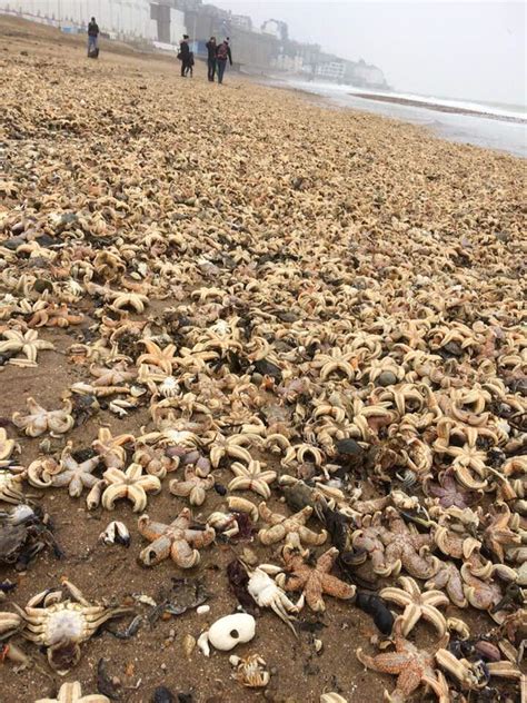 Watch official video, print or download text in pdf. Ramsgate beach | Overclockers UK Forums