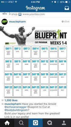Maybe you would like to learn more about one of these? arnold schwarzenegger diet plan pdf | nikhil | Arnold ...