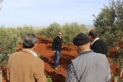 Do the same with the other leaves. Olive Oil Farmers to Test their Oil for Quality | UNIFIL