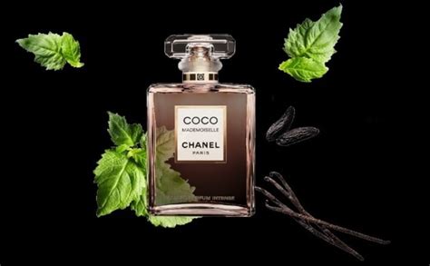 هذا هو ما حدث بالضبط مع كل إبداعات mademoiselle coco chanel الشهيرة والرائعة والأسطورية. عطر كوكو مدموزيل انتينس من شانيل 100مل للنساء - السعودية ...