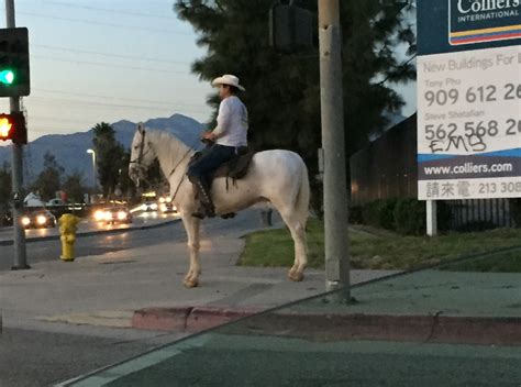 L'amicale des thiersvillois présente ses plus sincères condoléances à toute sa famille. Los Angeles Revisited: Pellissier Village Equestrian ...