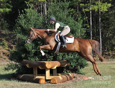 Cross country jumps, greg schlappi cross country jumps landrum, sc permanent jumps. Corner Jump by Marc Mesa | Cross country jumps, Horse ...