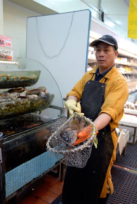 Choose from a range of whole garoupa fish prepared delectably to real flavors of china. Buy a Live Fish in Oakland Chinatown for a Traditional ...