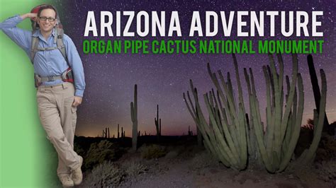 Organ pipe cactus national monument. Organ Pipe Cactus National Monument | Keys to Arizona