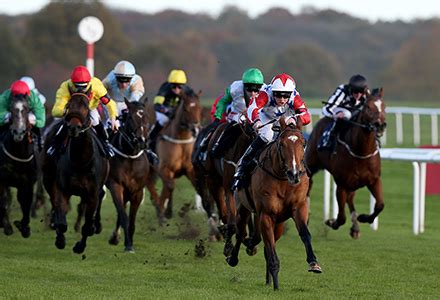 We did not find results for: Sunday's Money Horse through oddschecker | Oddschecker