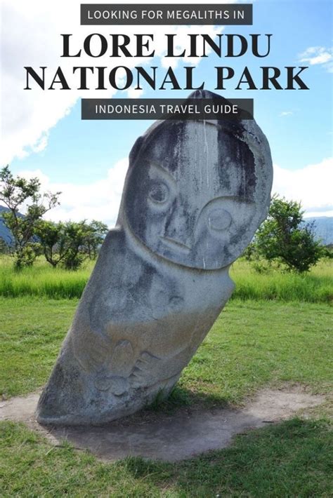 Just getting to palu was a challenge, with cancellation of garuda flights. Lore Lindu National Park: Mysterious megaliths | National ...